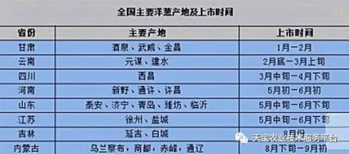 今日洋蔥價(jià)格行情及綠色旅行的心靈之旅