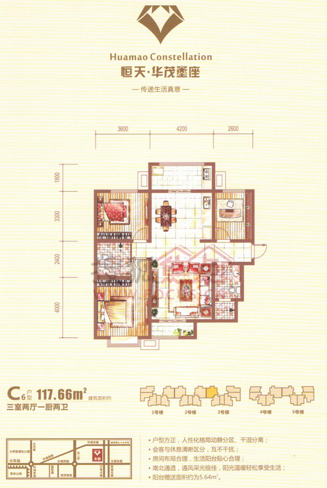 恒天華茂星座最新動態(tài)揭秘，星空下的溫馨日常